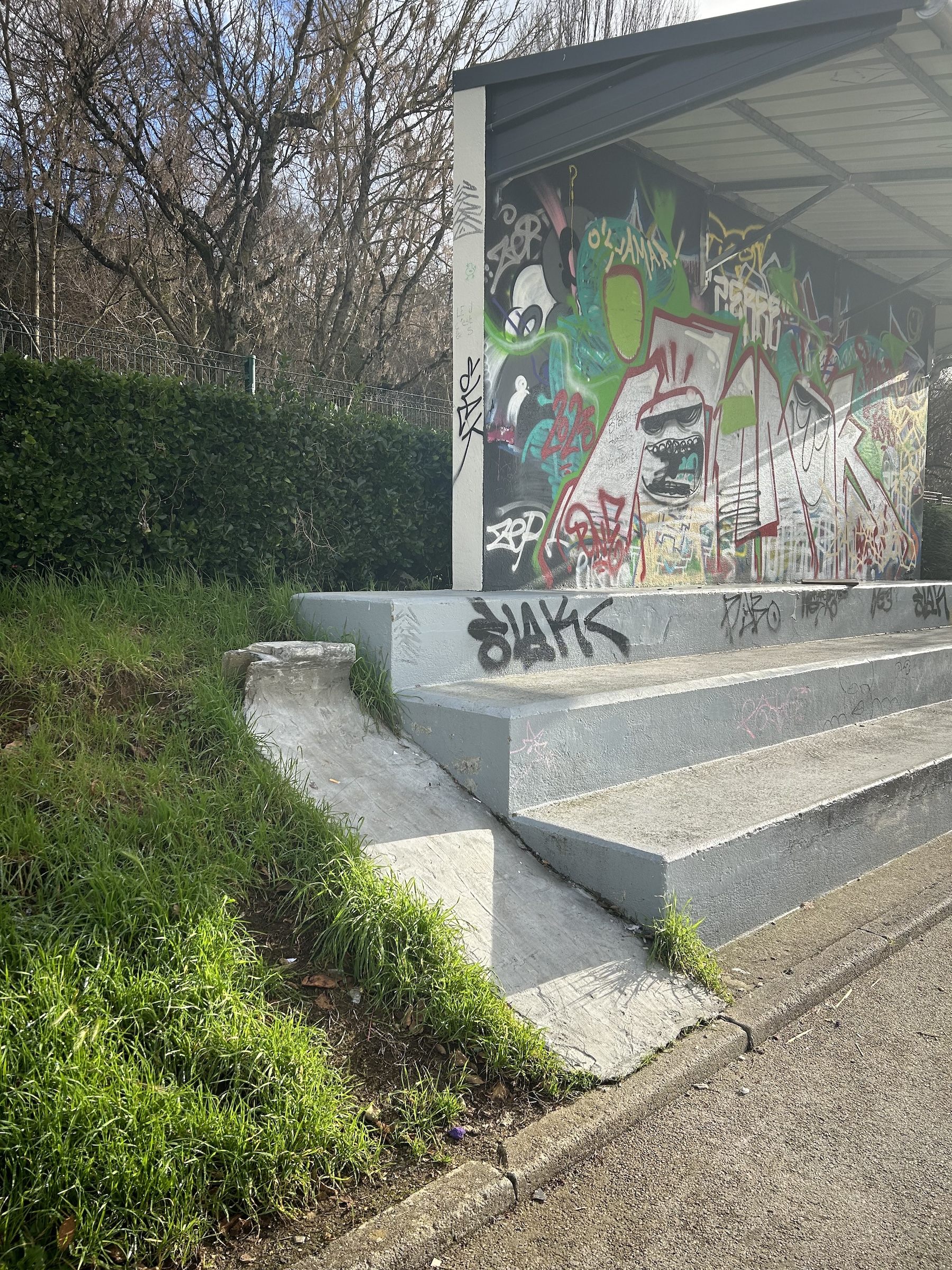 Niort skatepark